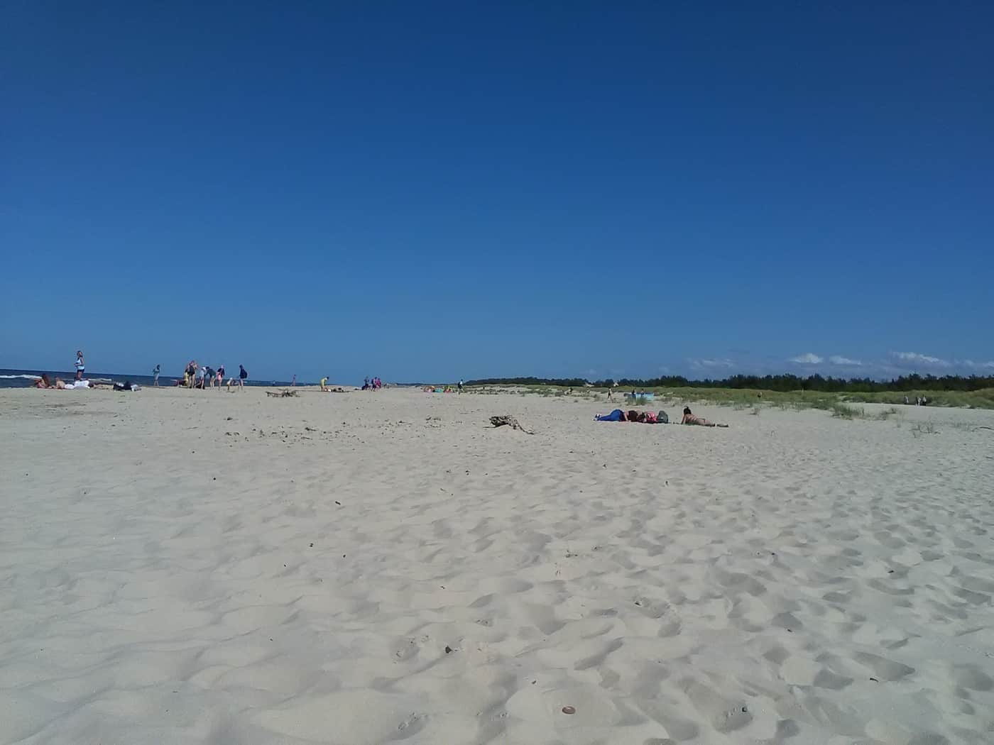 Plaża nad Bałtykiem w Słowińskim Parku Narodowym z widokiem na wydmy i bór sosnowy