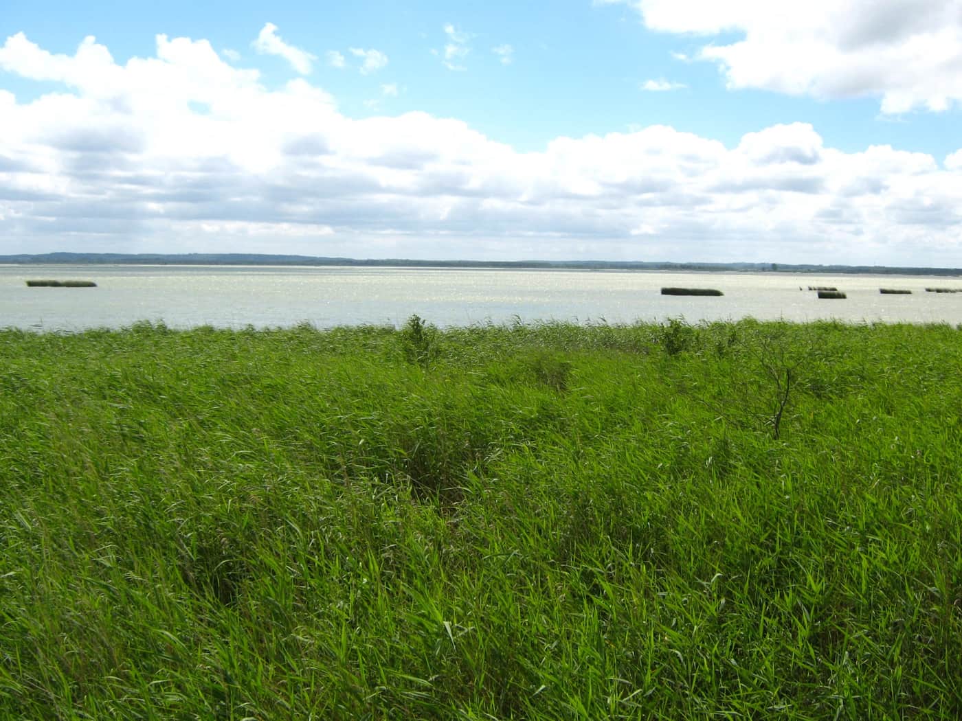 Lake Gardno in Słowiński National Park — the destination of the Łupawa