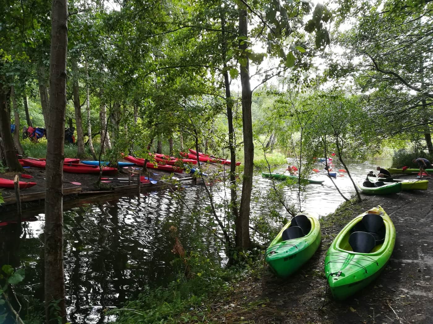 Kayaks waiting at a riverbank before a paddling trip