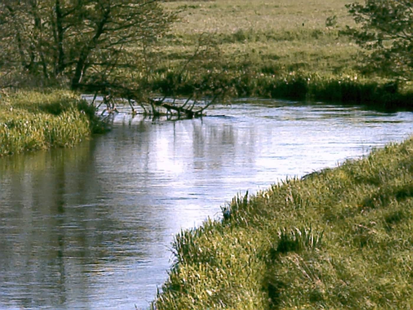 The Łupawa River — a wild Pomeranian waterway near Żelkowo